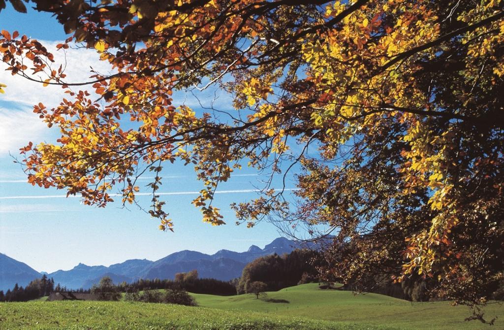 Haus Gruber Hotel Attersee ภายนอก รูปภาพ