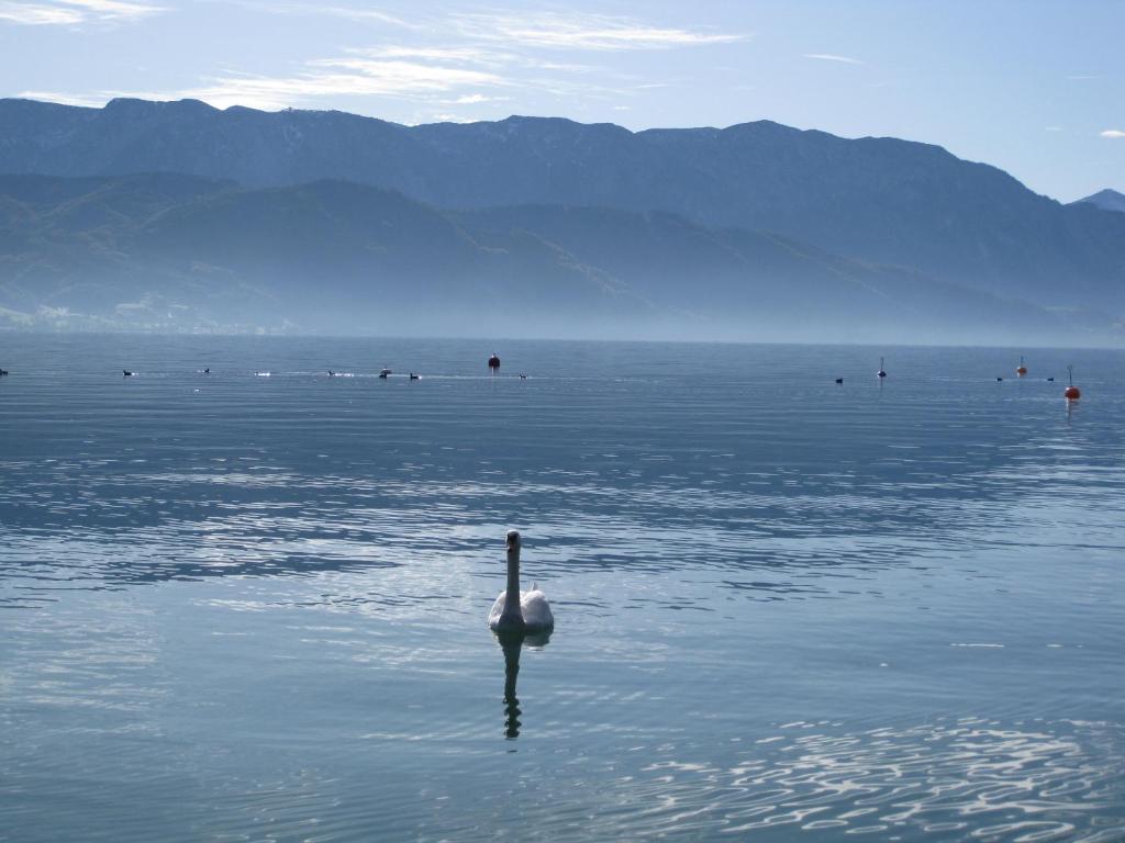 Haus Gruber Hotel Attersee ภายนอก รูปภาพ